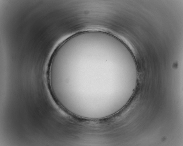 X0000103330995200809051018