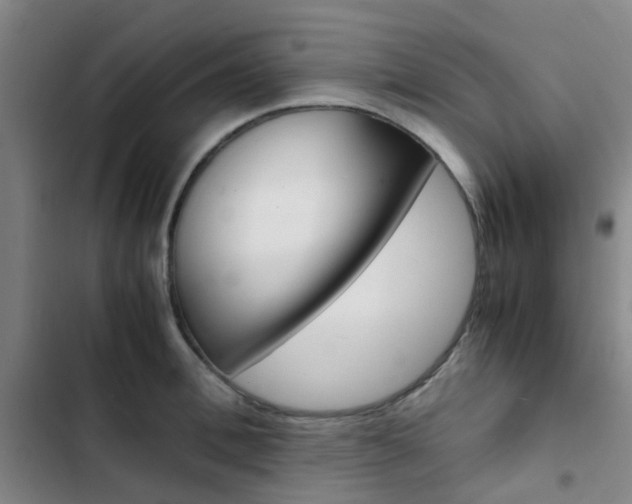 X0000103330996200809051018