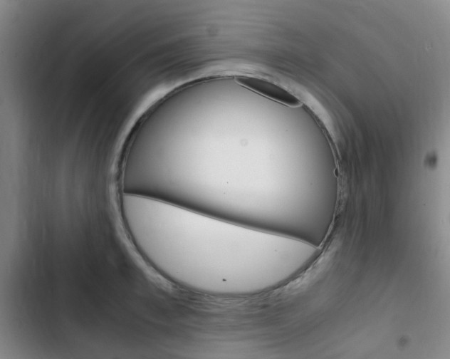 X0000103330997200809051018