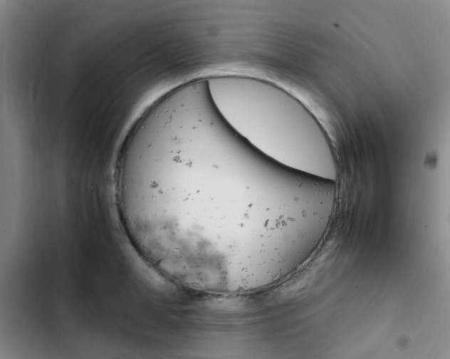 X0000103330998200809051018