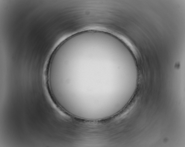 X0000103330999200809051018
