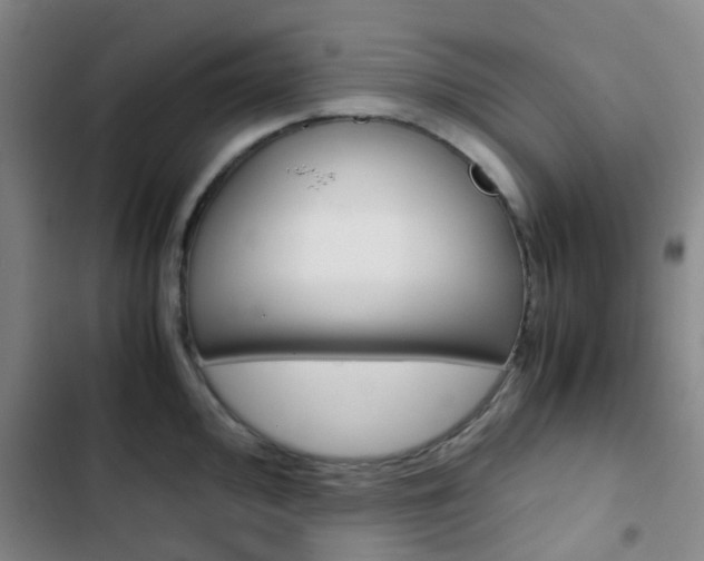 X0000103331000200809051018