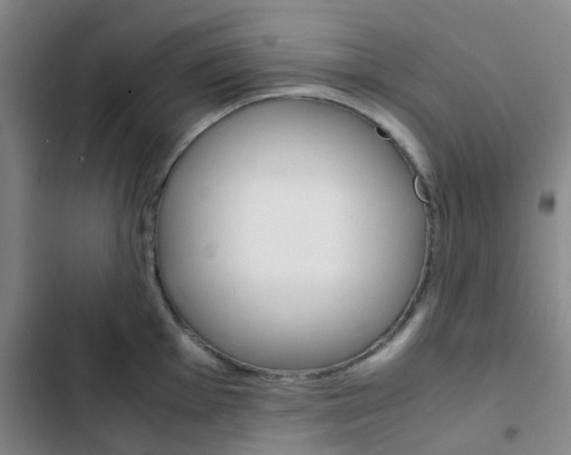 X0000103331001200809051018