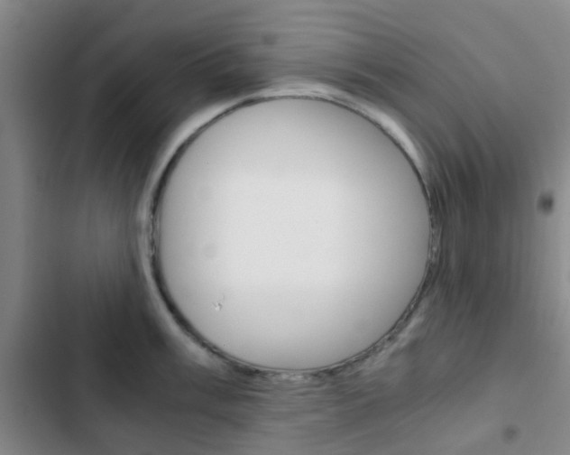 X0000103331003200809051018