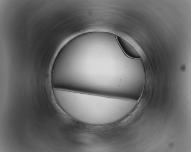X0000103331004200809051018
