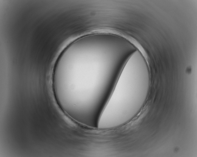 X0000103331005200809051018