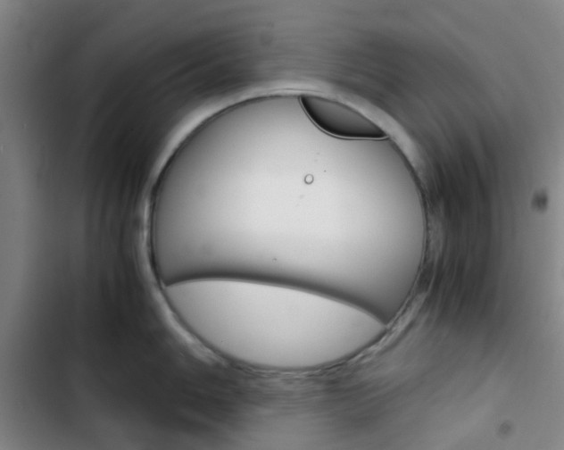 X0000103331006200809051018