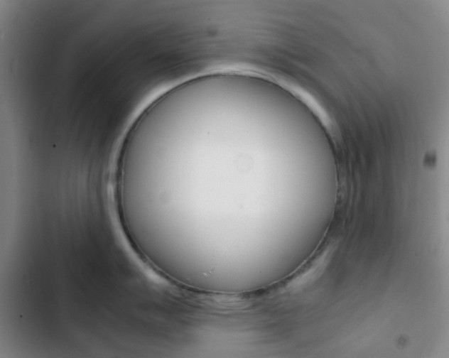 X0000103331007200809051018