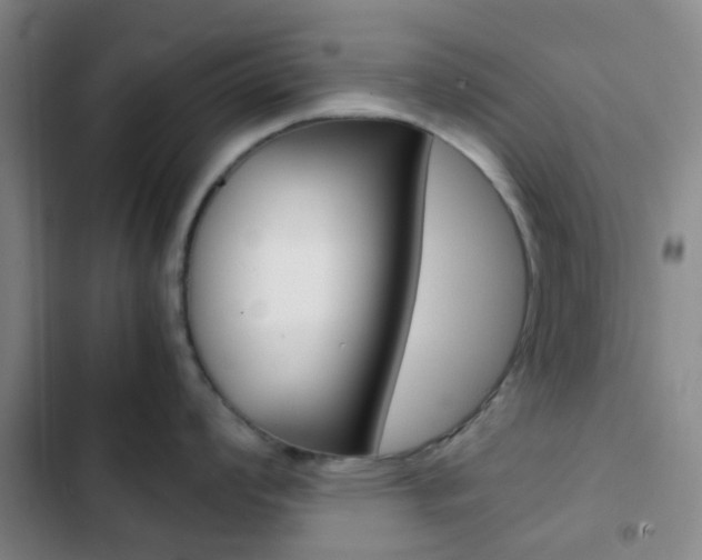 X0000103331008200809051018