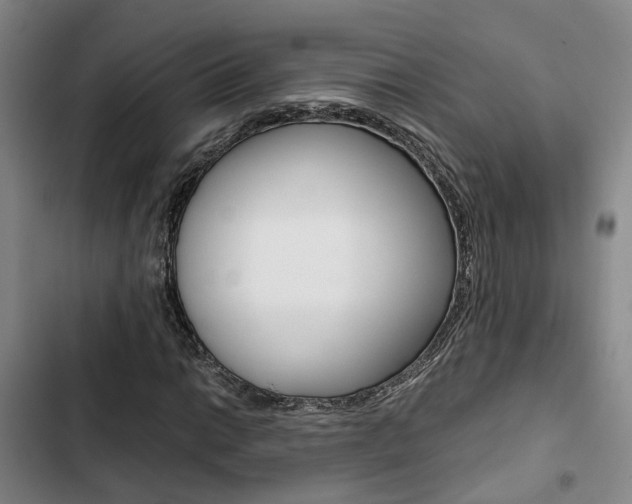X0000103331014200809051017