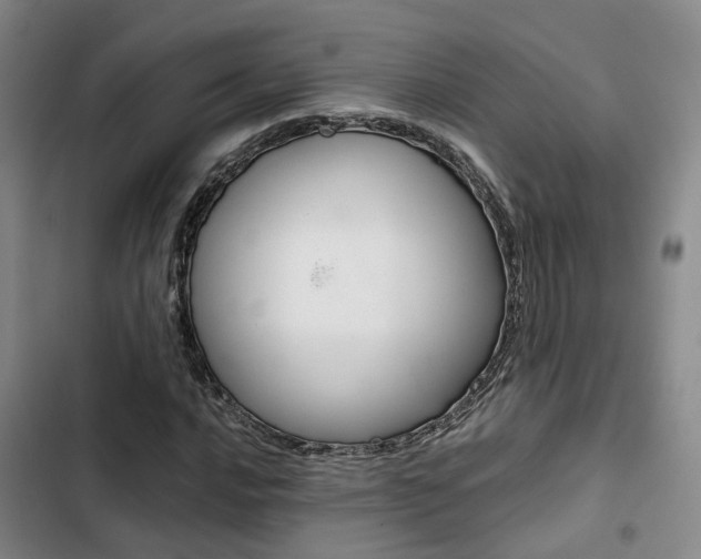 X0000103331016200809051017