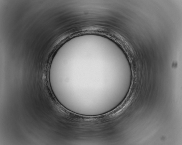 X0000103331017200809051017