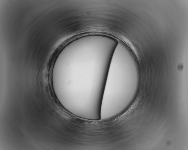 X0000103331019200809051017