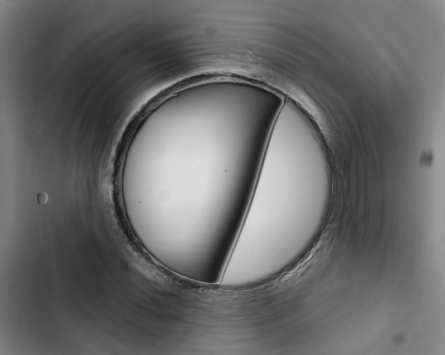 X0000103331020200809051017