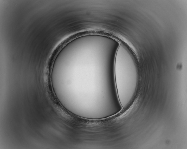 X0000103331021200809051017