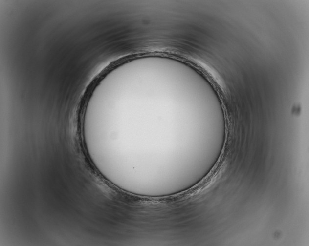 X0000103331023200809051017