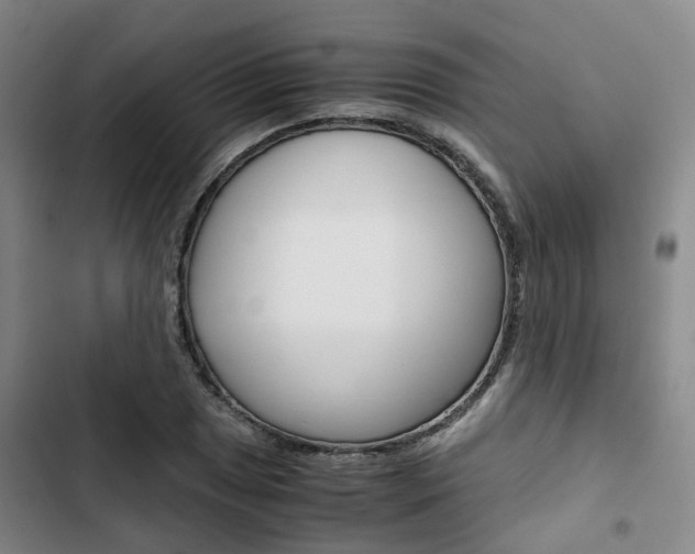 X0000103331025200809051017