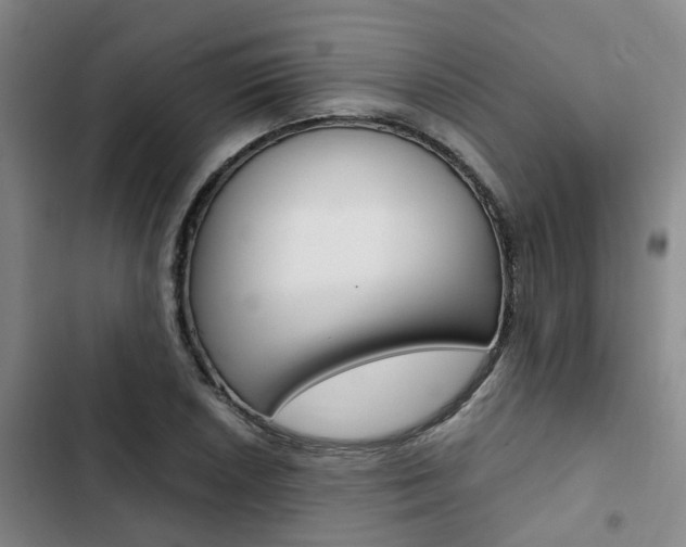X0000103331026200809051017
