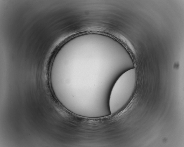X0000103331027200809051017