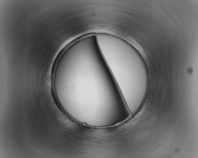 X0000103331028200809051017