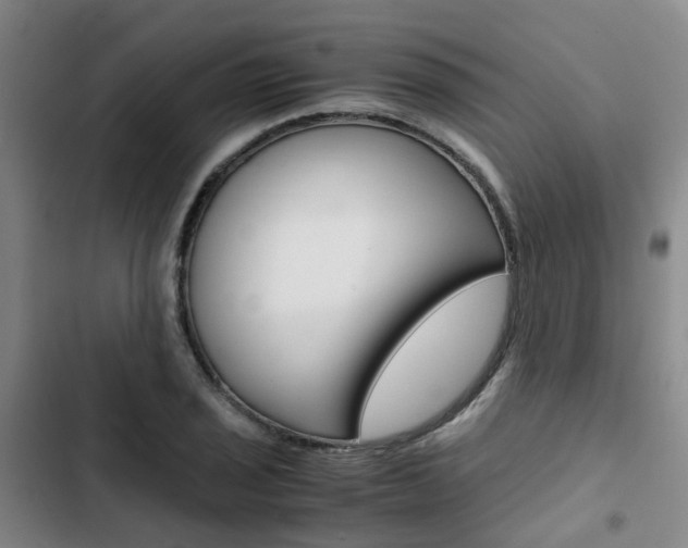 X0000103331029200809051017