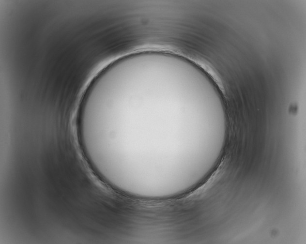 X0000103331030200809051017