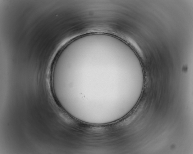 X0000103331035200809051017