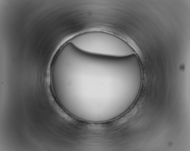 X0000103331036200809051017