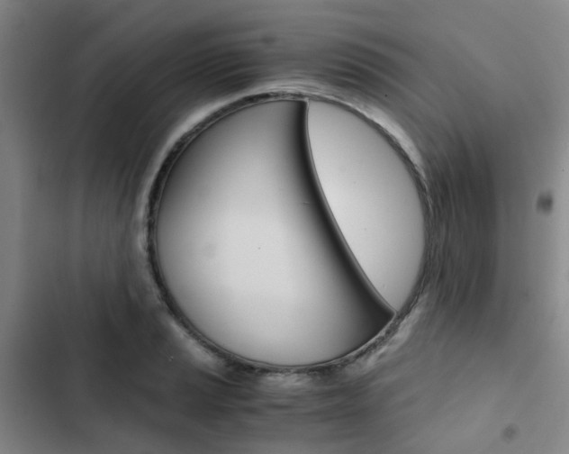 X0000103331037200809051017