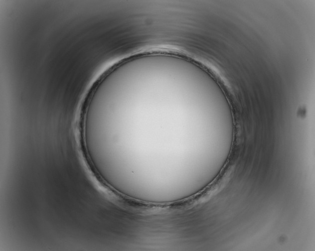 X0000103331038200809051017