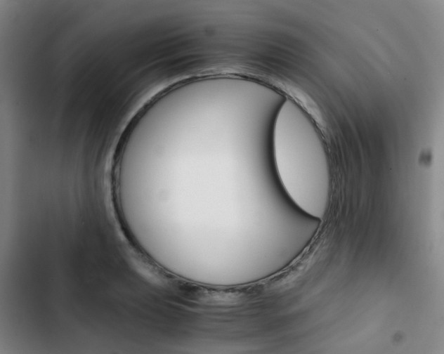 X0000103331039200809051017