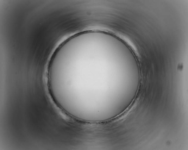 X0000103331040200809051017