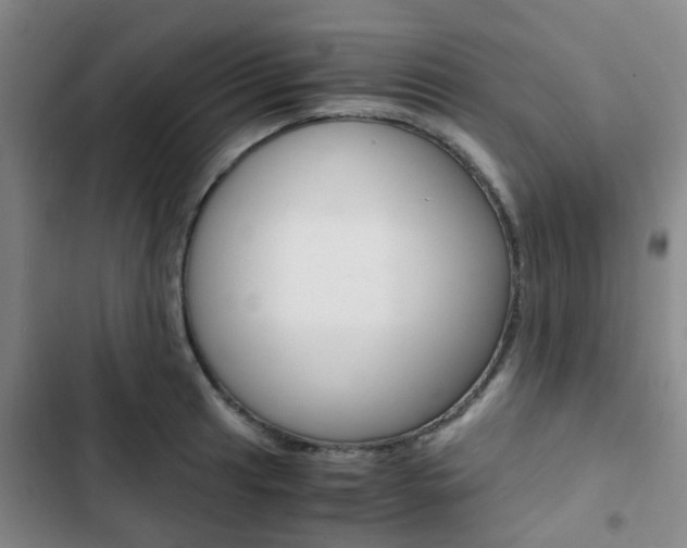 X0000103331041200809051017