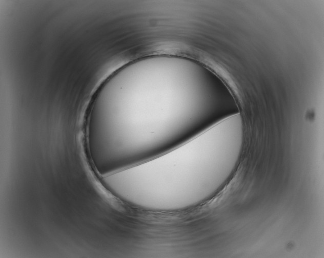 X0000103331042200809051017