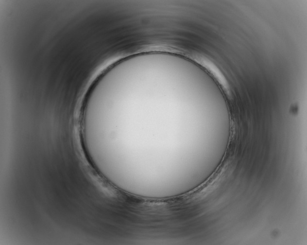 X0000103331043200809051017