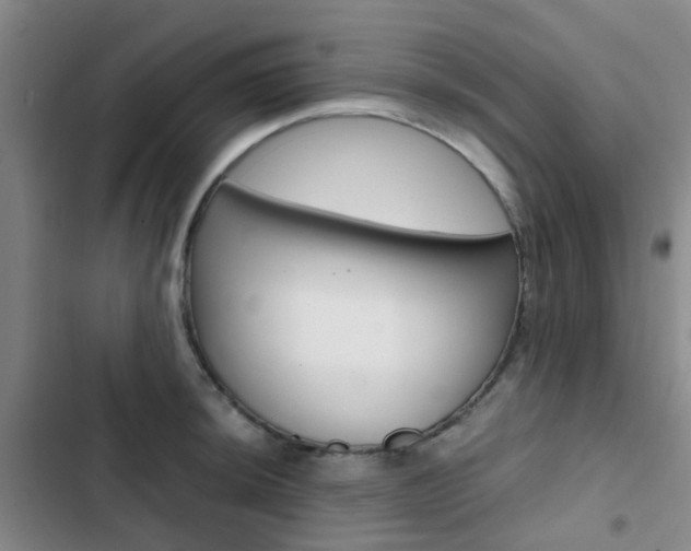 X0000103331044200809051017