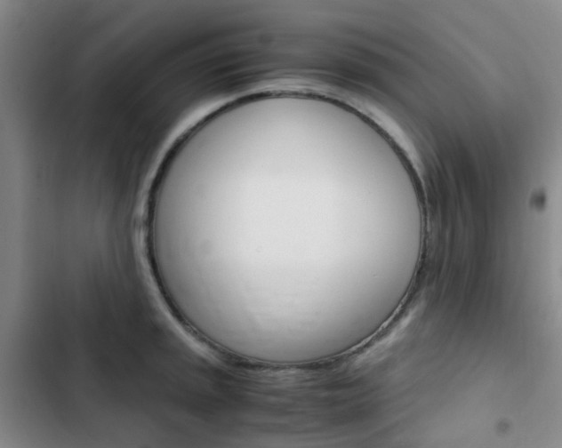 X0000103331045200809051017