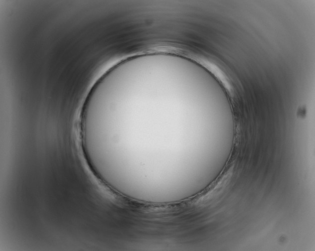 X0000103331047200809051017