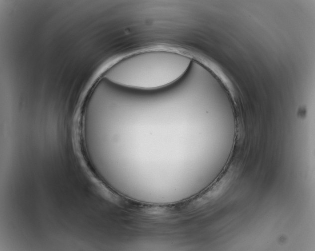 X0000103331048200809051017