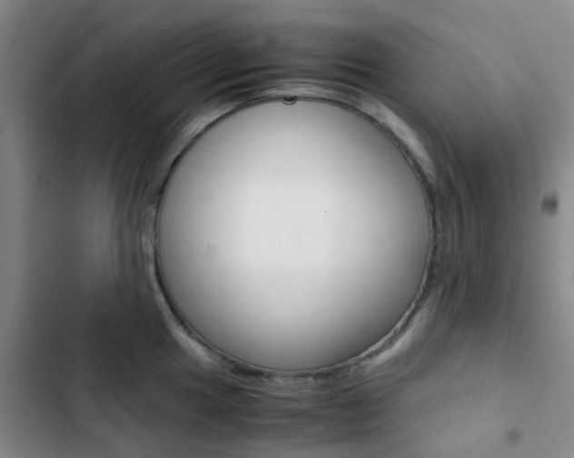 X0000103331049200809051017
