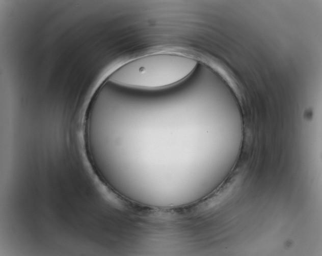 X0000103331050200809051017