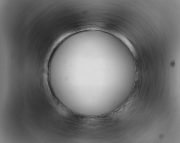 X0000103331051200809051017