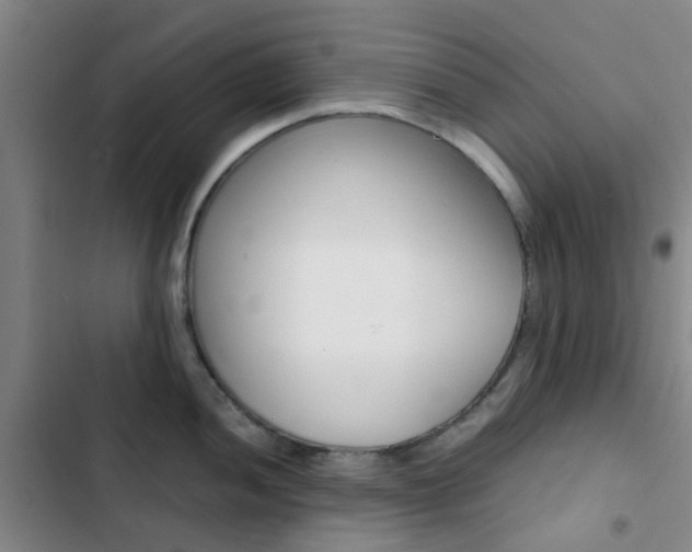 X0000103331052200809051017