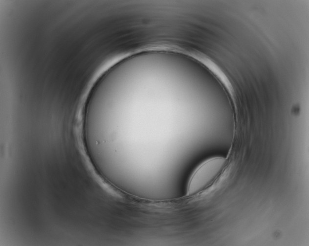 X0000103331053200809051018