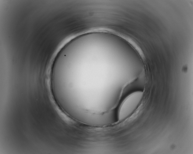 X0000103331054200809051018