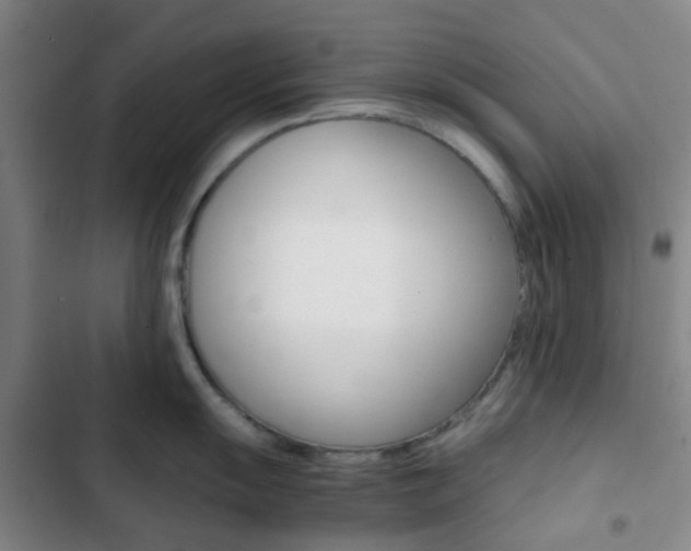 X0000103331055200809051018