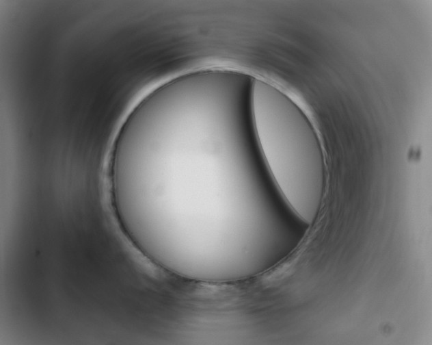 X0000103331056200809051018