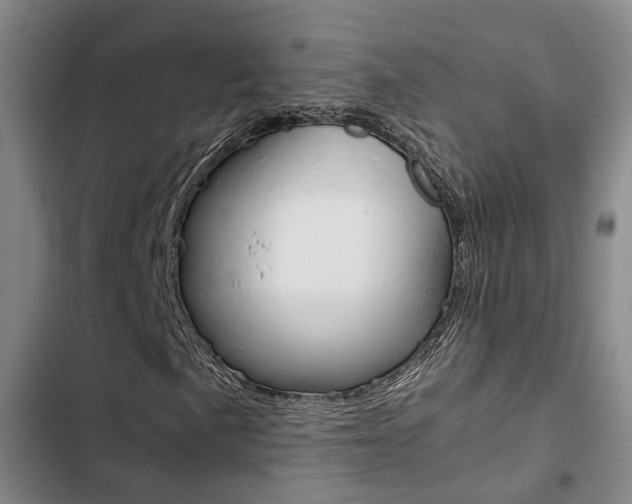 X0000103331057200809051017