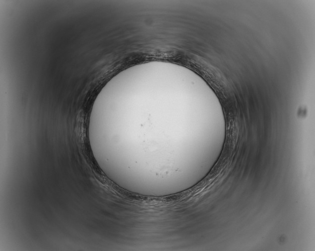 X0000103331058200809051017