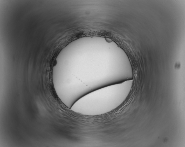X0000103331059200809051017